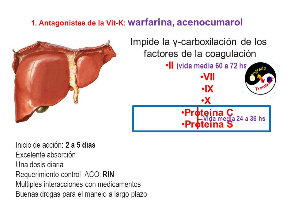 1. Antagonistas de la Vit-K: warfarina, acenocumarol