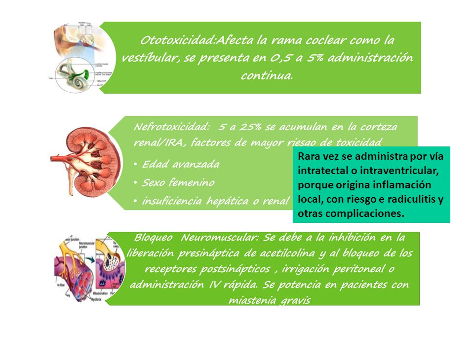 Rara vez se administra por vía intratectal o intraventricular, porque origina inflamación local, con riesgo e radiculitis y otras complicaciones.