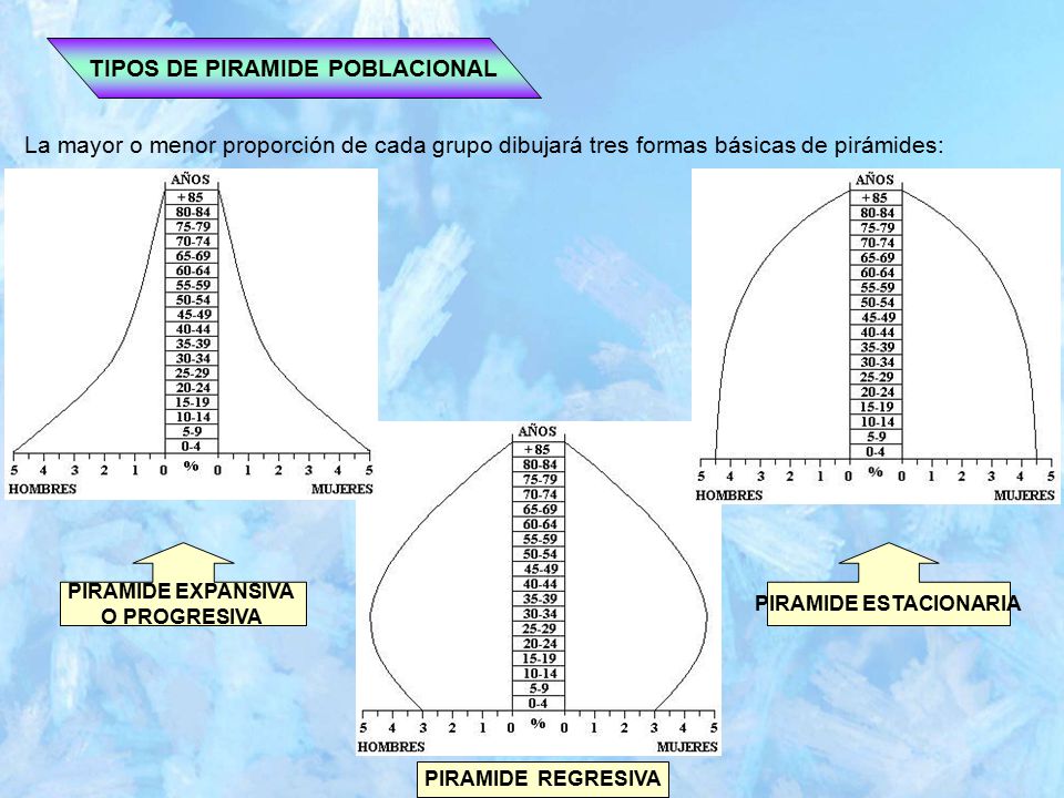 TIPOS DE PIRAMIDE POBLACIONAL PIRAMIDE ESTACIONARIA