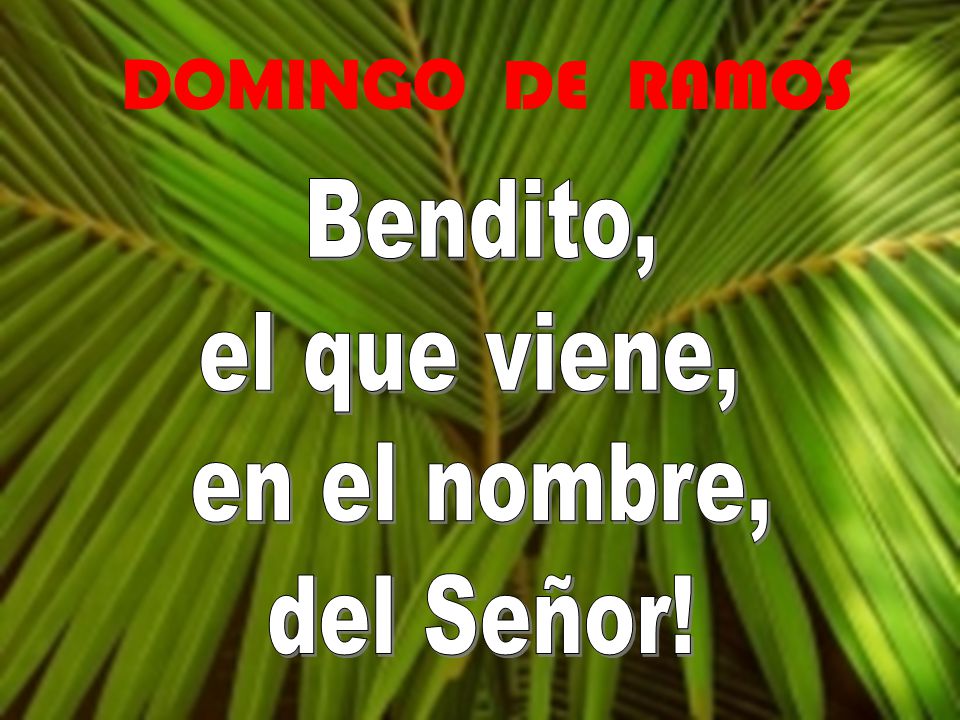 DOMINGO DE RAMOS Bendito, el que viene, en el nombre, del Señor!