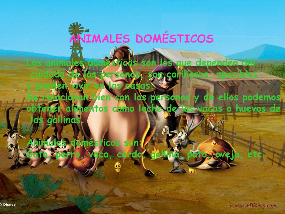 ANIMALES DOMÉSTICOS Los animales domésticos son los que dependen del