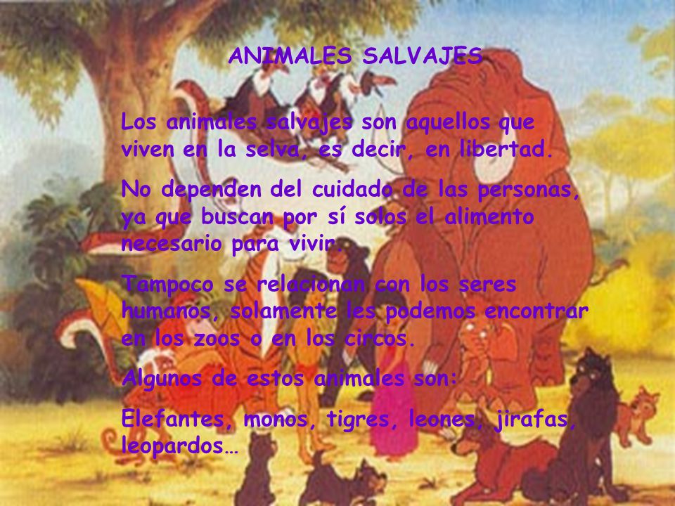 ANIMALES SALVAJES Los animales salvajes son aquellos que viven en la selva, es decir, en libertad.