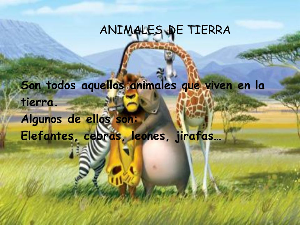 ANIMALES DE TIERRA Son todos aquellos animales que viven en la.
