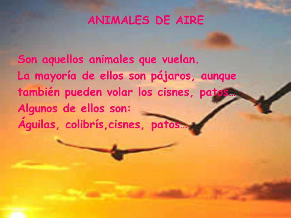 ANIMALES DE AIRE Son aquellos animales que vuelan. La mayoría de ellos son pájaros, aunque. también pueden volar los cisnes, patos…