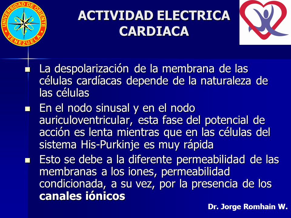 ACTIVIDAD ELECTRICA CARDIACA