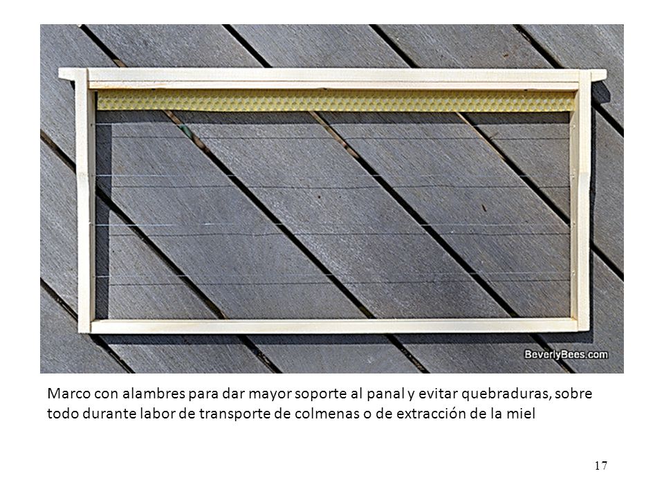 Marco con alambres para dar mayor soporte al panal y evitar quebraduras, sobre todo durante labor de transporte de colmenas o de extracción de la miel
