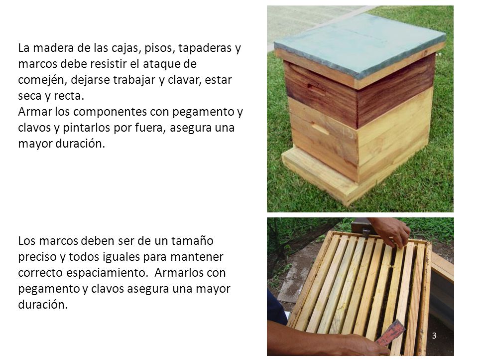 La madera de las cajas, pisos, tapaderas y marcos debe resistir el ataque de comején, dejarse trabajar y clavar, estar seca y recta.