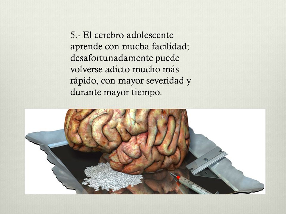 5.- El cerebro adolescente aprende con mucha facilidad; desafortunadamente puede volverse adicto mucho más rápido, con mayor severidad y durante mayor tiempo.
