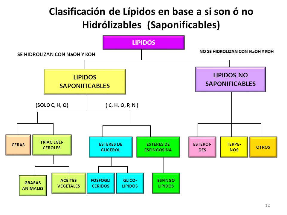 NO SE HIDROLIZAN CON NaOH Y KOH SE HIDROLIZAN CON NaOH Y KOH