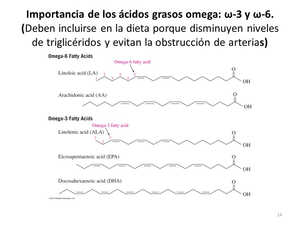 Importancia de los ácidos grasos omega: ω-3 y ω-6