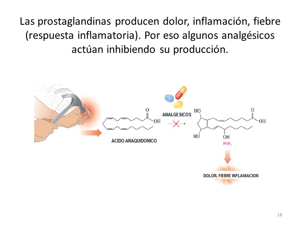 Las prostaglandinas producen dolor, inflamación, fiebre (respuesta inflamatoria).