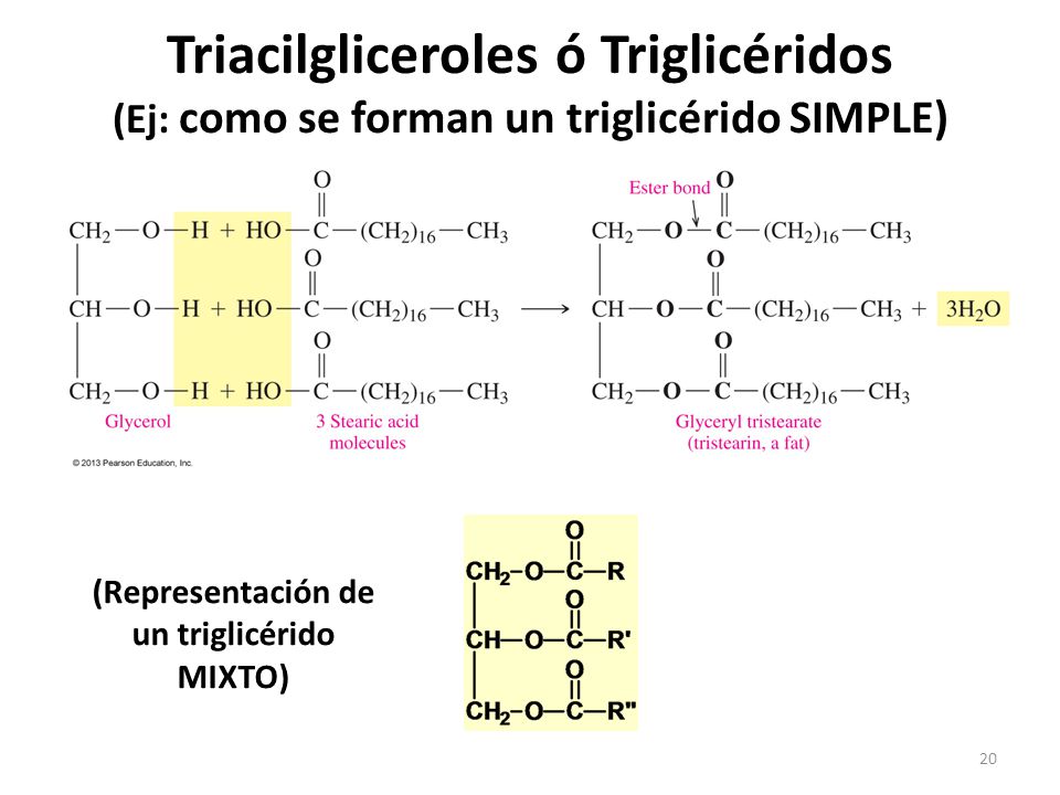 (Representación de un triglicérido MIXTO)