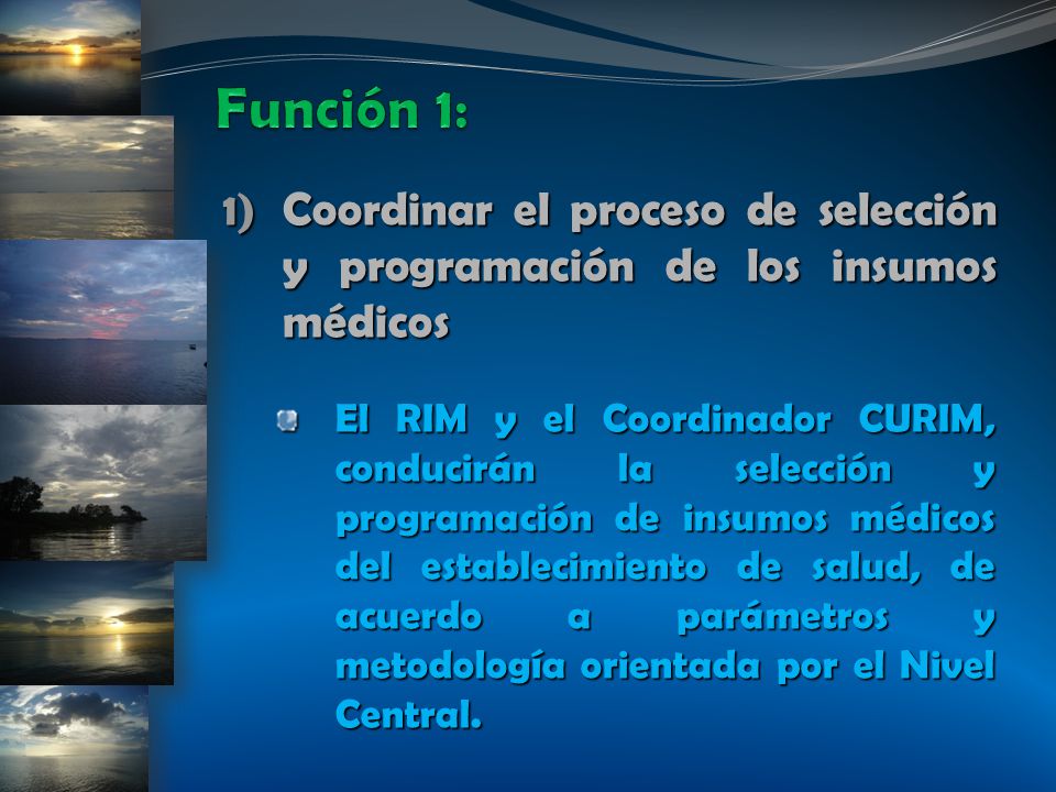 Función 1: Coordinar el proceso de selección y programación de los insumos médicos.