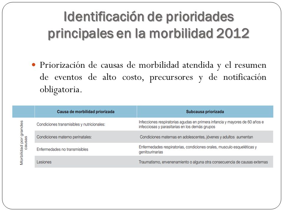 Identificación de prioridades principales en la morbilidad 2012