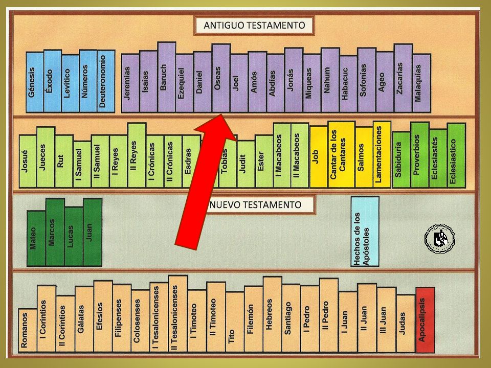 Otro grupo de libros de la Biblia lo compone el de los Profetas Menores.
