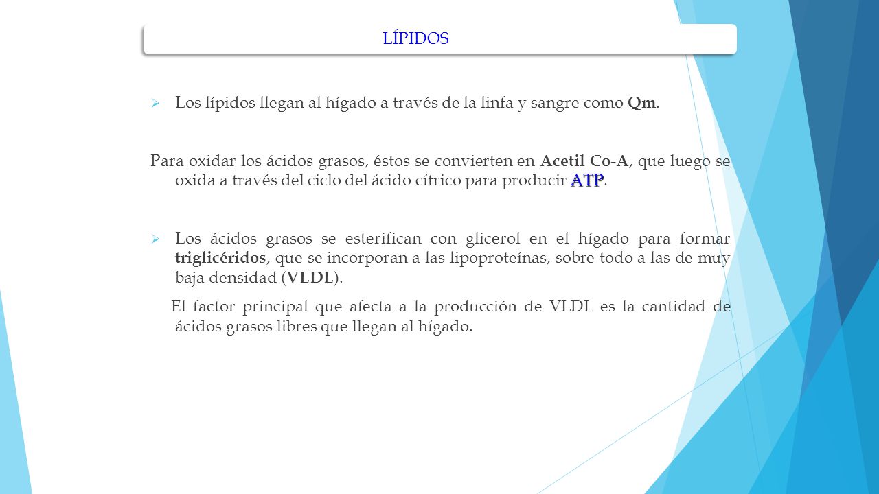 LÍPIDOS Los lípidos llegan al hígado a través de la linfa y sangre como Qm.