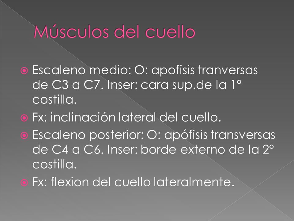Músculos del cuello Escaleno medio: O: apofisis tranversas de C3 a C7. Inser: cara sup.de la 1° costilla.