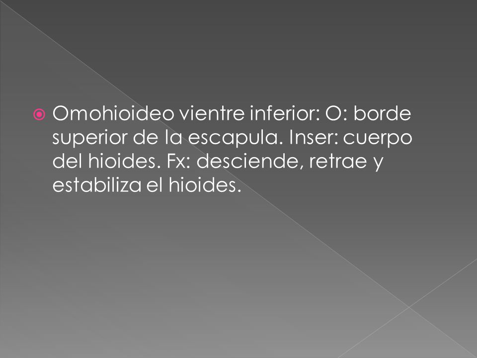 Omohioideo vientre inferior: O: borde superior de la escapula