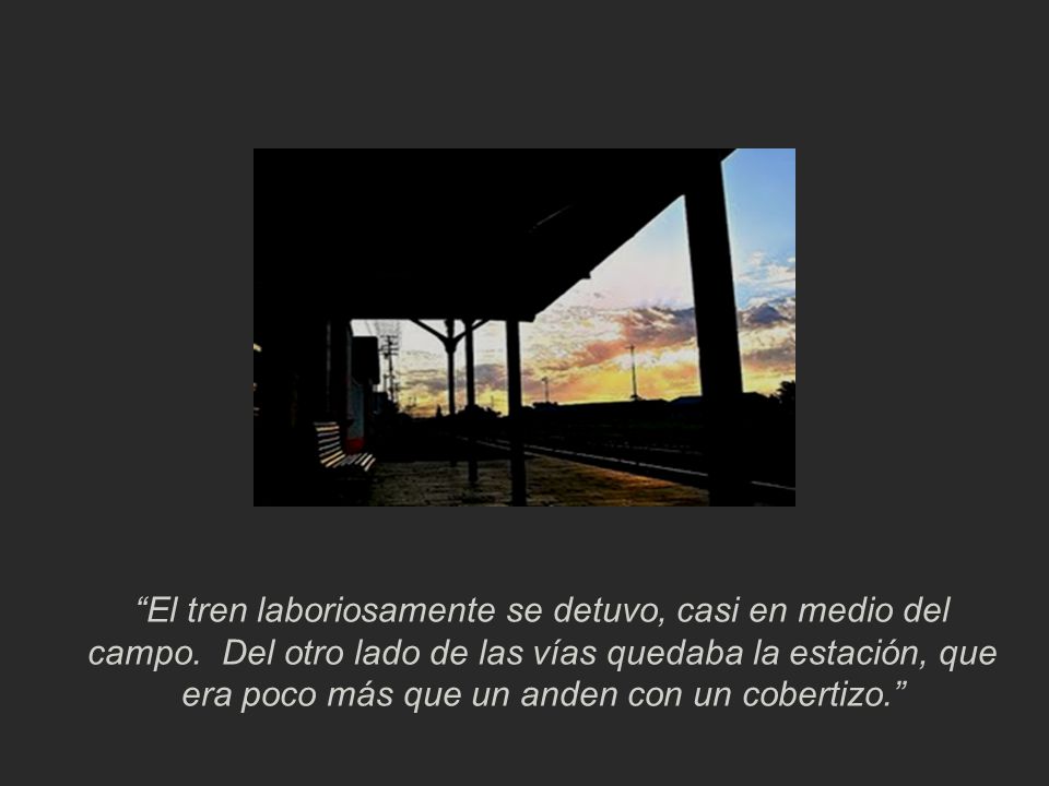El tren laboriosamente se detuvo, casi en medio del campo