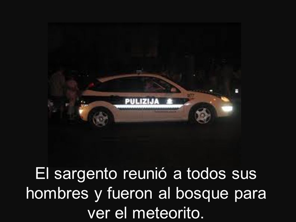 El sargento reunió a todos sus hombres y fueron al bosque para ver el meteorito.