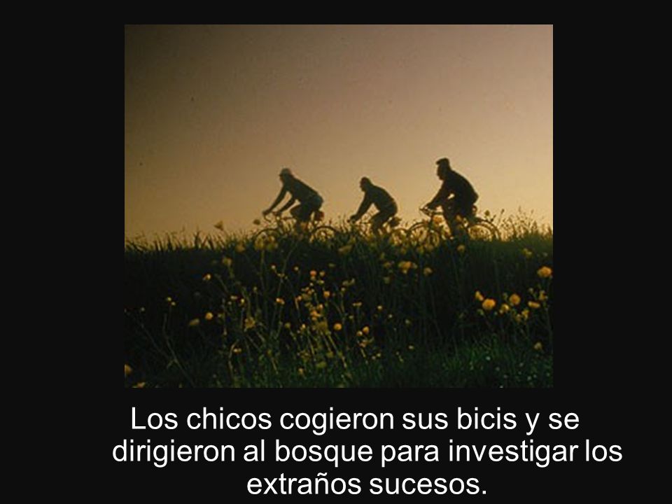 Los chicos cogieron sus bicis y se dirigieron al bosque para investigar los extraños sucesos.