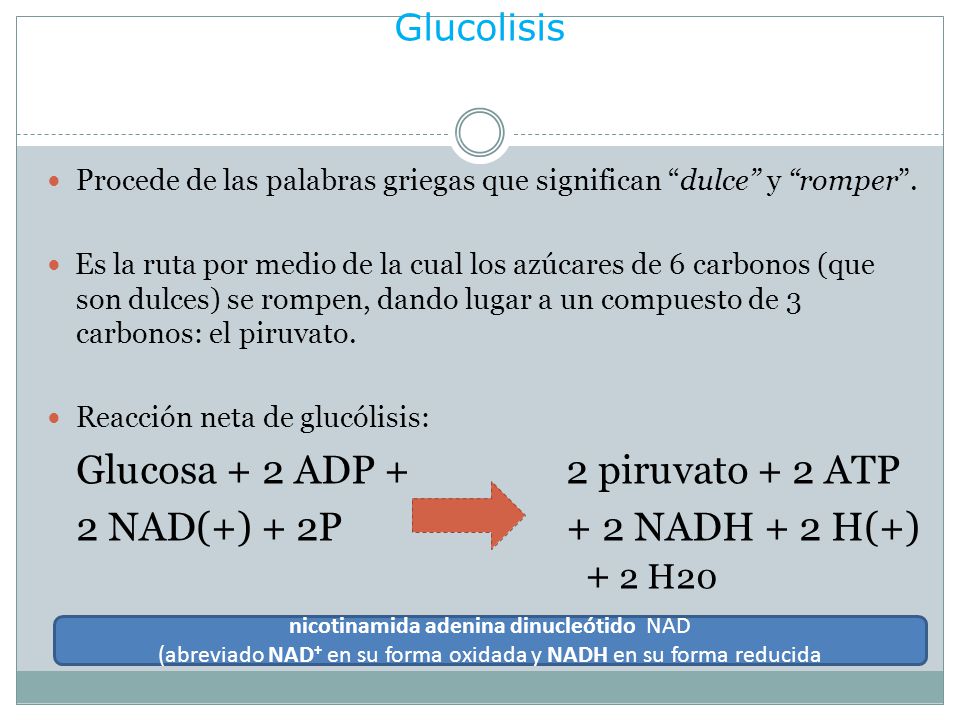 Glucolisis Glucosa + 2 ADP + 2 piruvato + 2 ATP