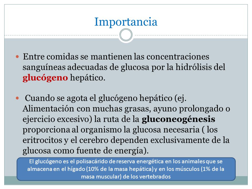 Importancia sanguíneas adecuadas de glucosa por la hidrólisis del