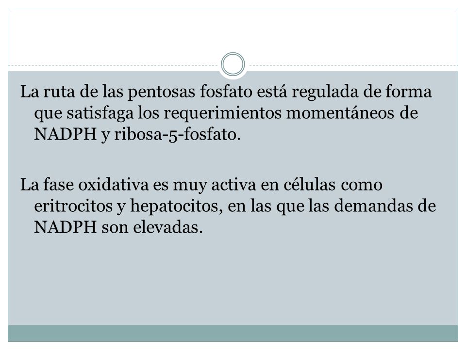La ruta de las pentosas fosfato está regulada de forma