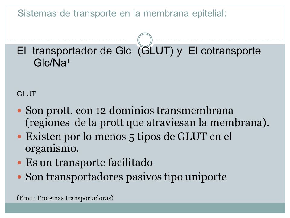 El transportador de Glc (GLUT) y El cotransporte Glc/Na+