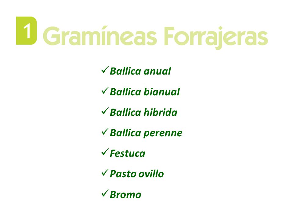 Ballica anual Ballica bianual Ballica hibrida Ballica perenne Festuca Pasto ovillo Bromo