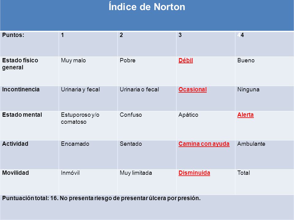 Índice de Norton Puntos: Estado físico general Muy malo Pobre
