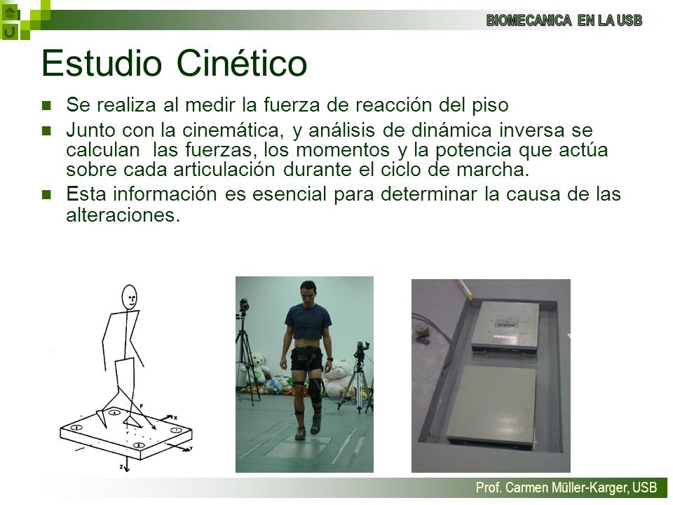 Estudio Cinético Se realiza al medir la fuerza de reacción del piso