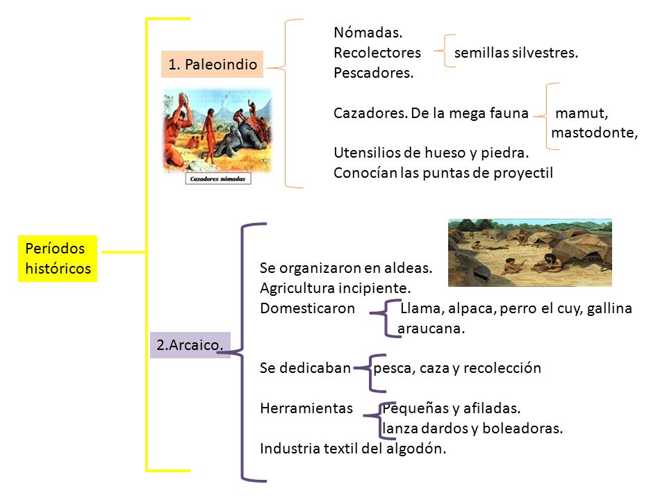 Nómadas. Recolectores semillas silvestres. Pescadores. Cazadores. De la mega fauna mamut,