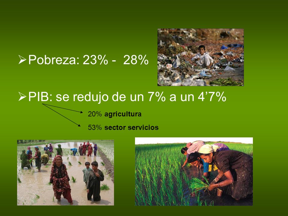 PIB: se redujo de un 7% a un 4’7%