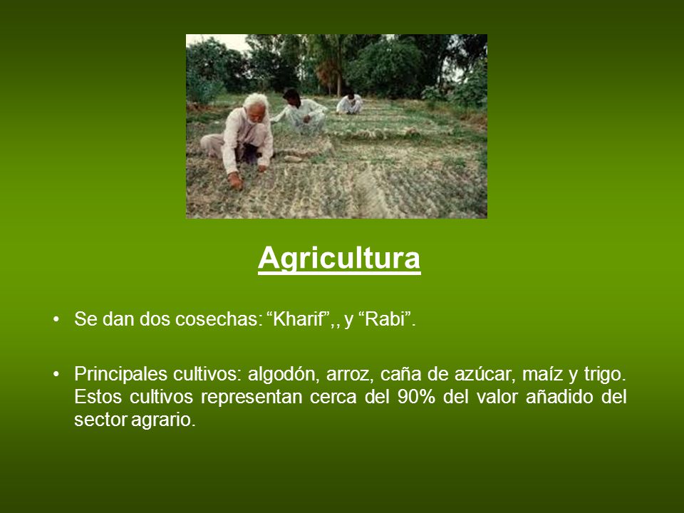 Agricultura Se dan dos cosechas: Kharif ,, y Rabi .