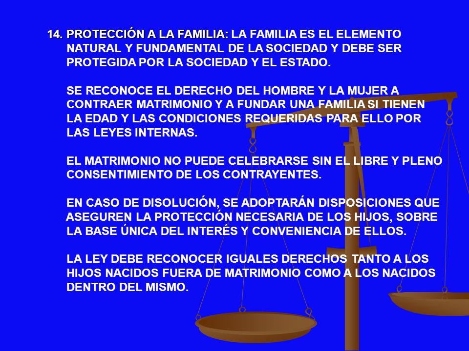 14. PROTECCIÓN A LA FAMILIA: LA FAMILIA ES EL ELEMENTO
