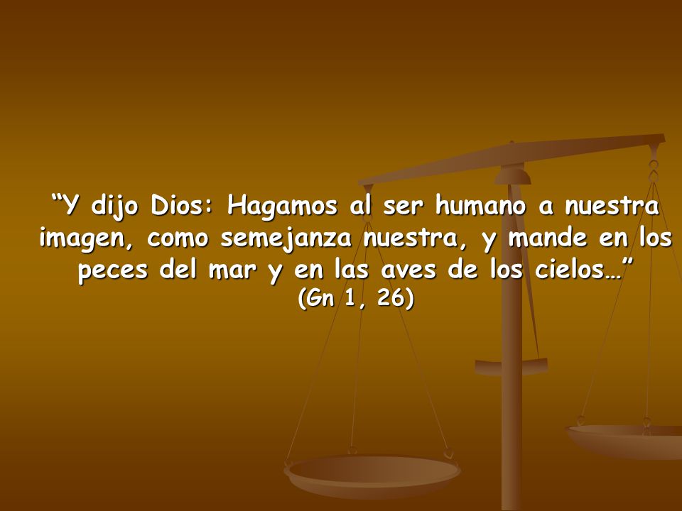 Y dijo Dios: Hagamos al ser humano a nuestra imagen, como semejanza nuestra, y mande en los peces del mar y en las aves de los cielos… (Gn 1, 26)