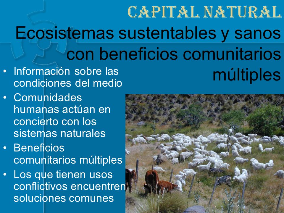 Capital Natural Ecosistemas sustentables y sanos con beneficios comunitarios múltiples
