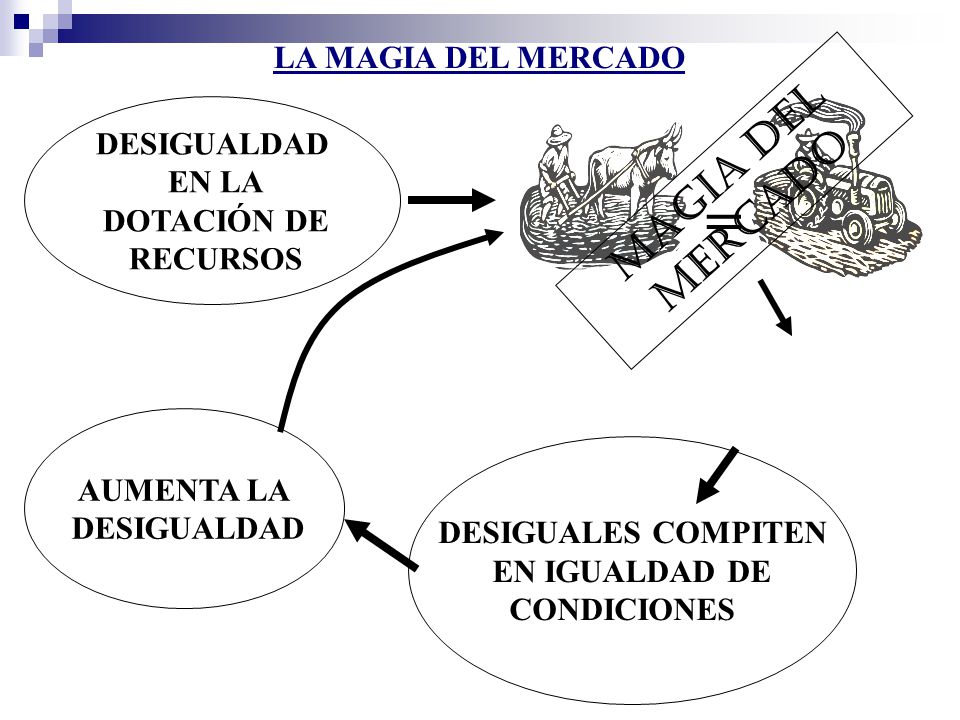 = MAGIA DEL MERCADO LA MAGIA DEL MERCADO DESIGUALDAD EN LA DOTACIÓN DE