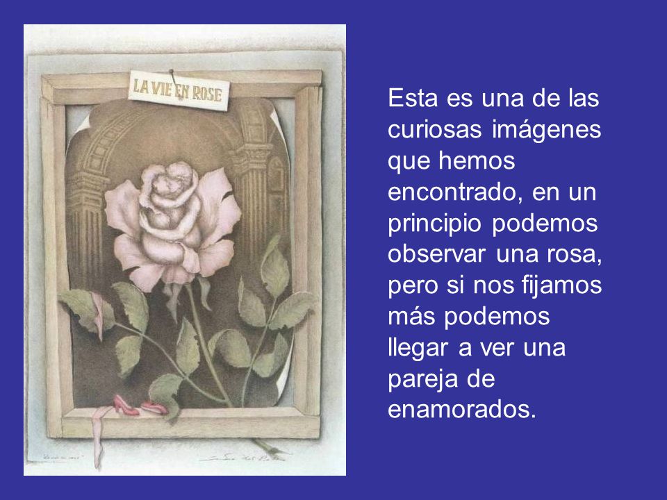 Esta es una de las curiosas imágenes que hemos encontrado, en un principio podemos observar una rosa, pero si nos fijamos más podemos llegar a ver una pareja de enamorados.