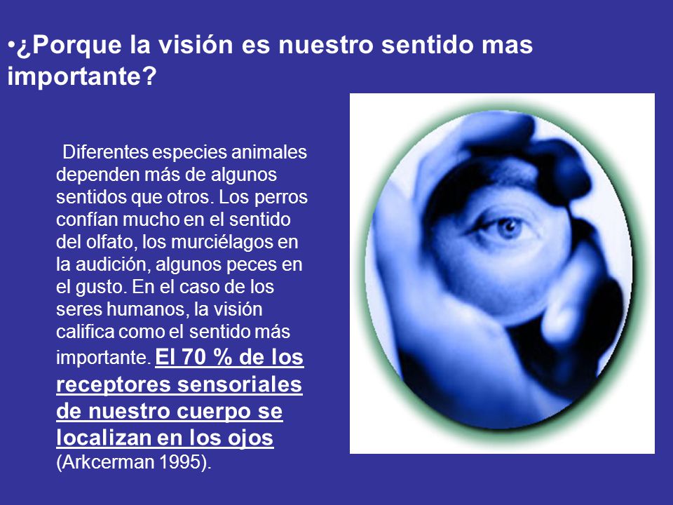 ¿Porque la visión es nuestro sentido mas importante