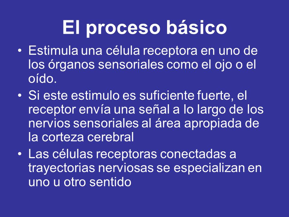 El proceso básico Estimula una célula receptora en uno de los órganos sensoriales como el ojo o el oído.