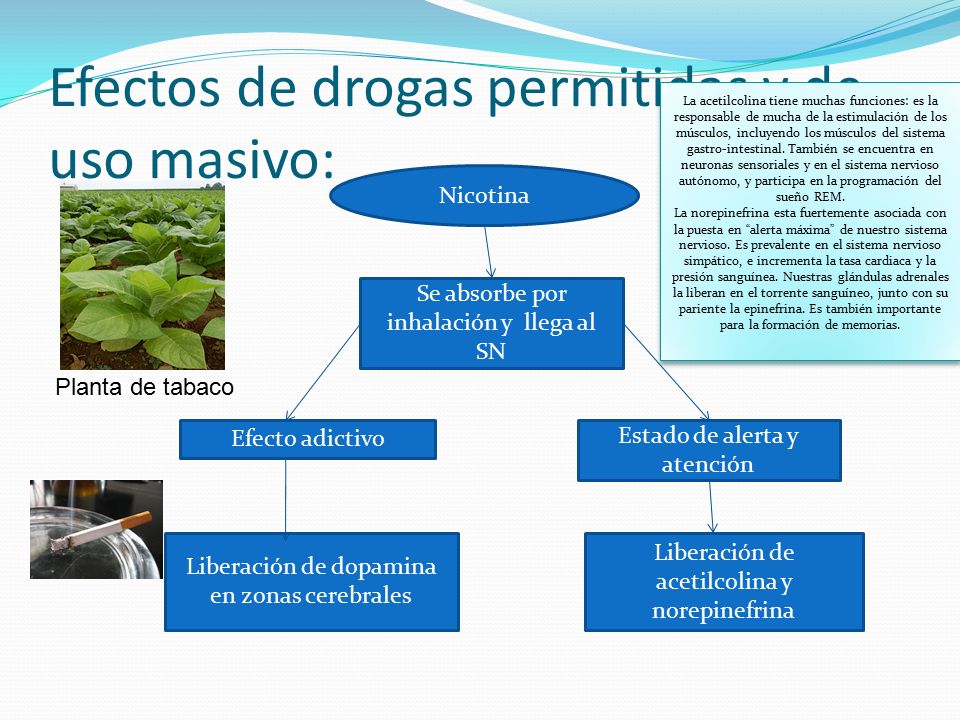 Efectos de drogas permitidas y de uso masivo: