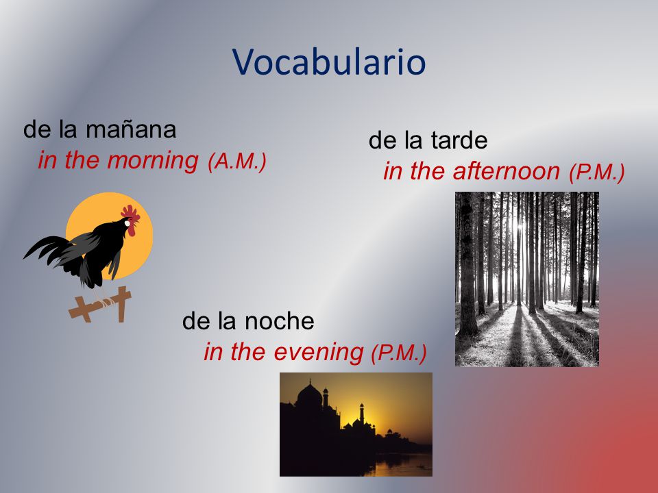 Vocabulario de la mañana de la tarde in the morning (A.M.)