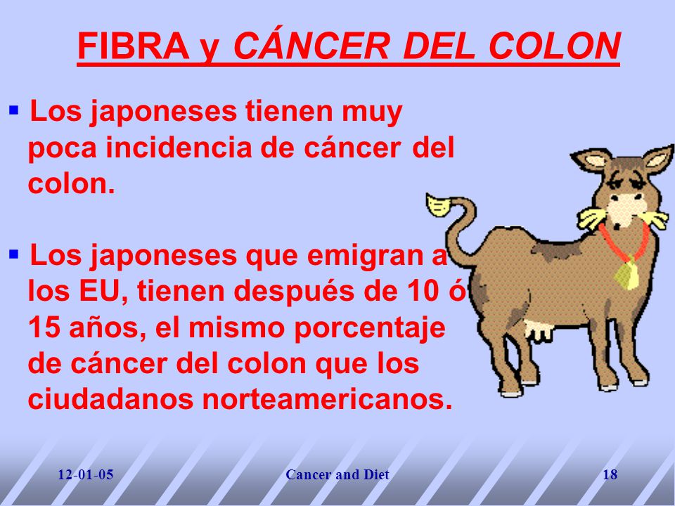 FIBRA y CÁNCER DEL COLON