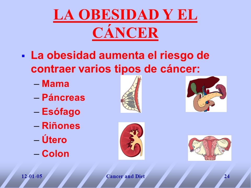 Diet and Cancer LA OBESIDAD Y EL CÁNCER. La obesidad aumenta el riesgo de contraer varios tipos de cáncer: