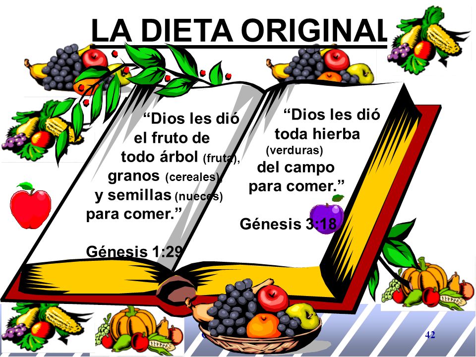 LA DIETA ORIGINAL Dios les dió Dios les dió toda hierba el fruto de