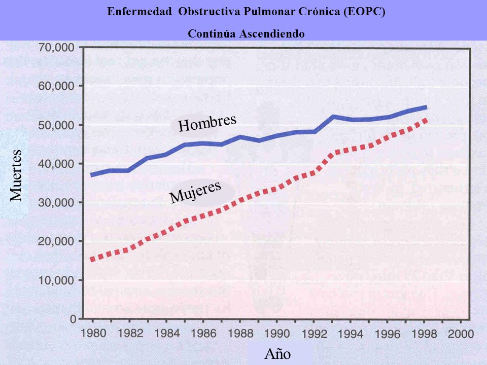 Hombres Muertes Mujeres Año El Número de Muertes Causadas por la