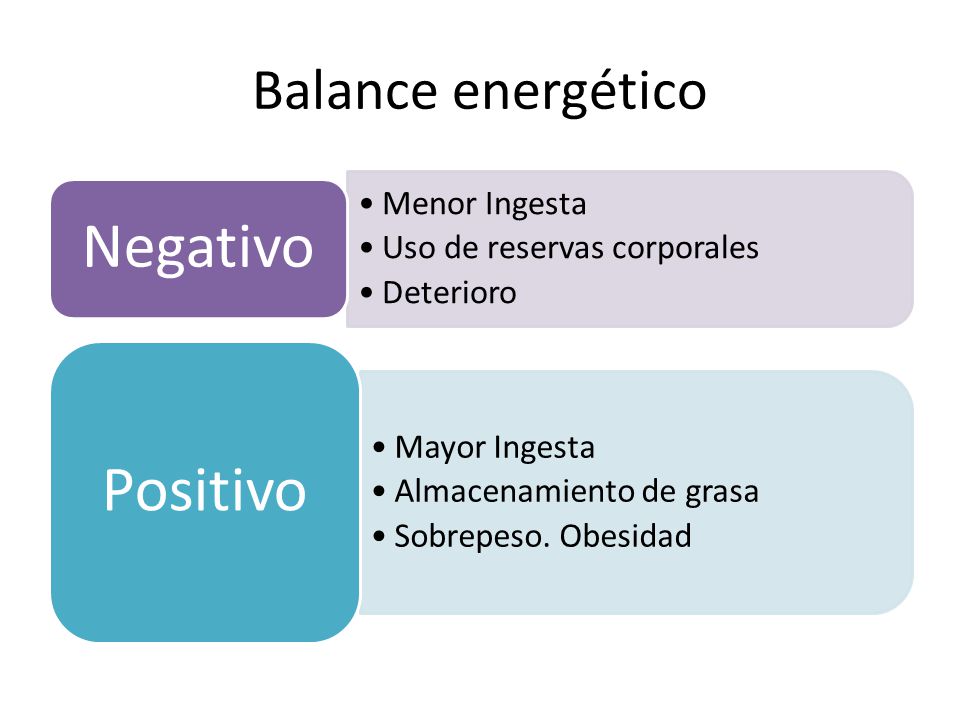 Balance energético Negativo Menor Ingesta Uso de reservas corporales