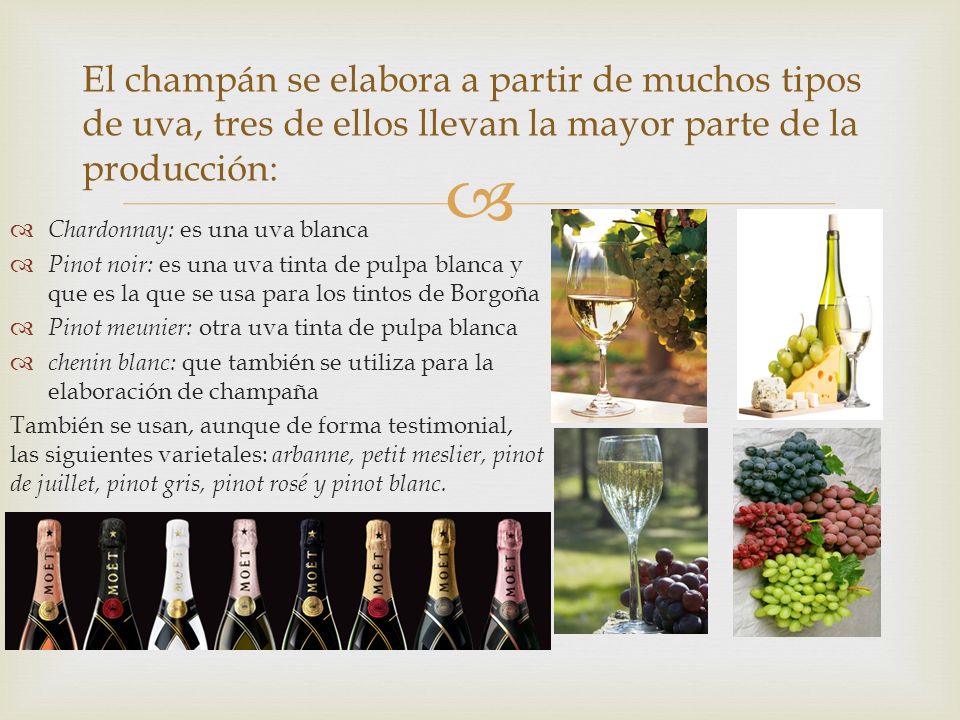 El champán se elabora a partir de muchos tipos de uva, tres de ellos llevan la mayor parte de la producción: